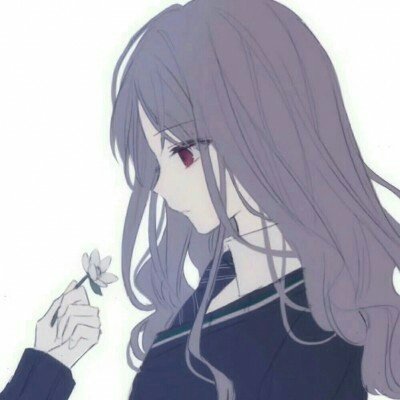 法议员发言提到雨果的著名梦想